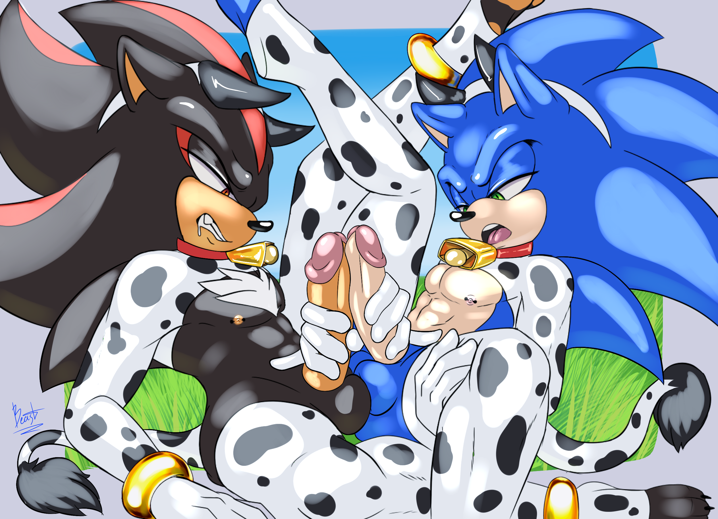 Shadow The Hedgehog (Sega) Rule 34 Image