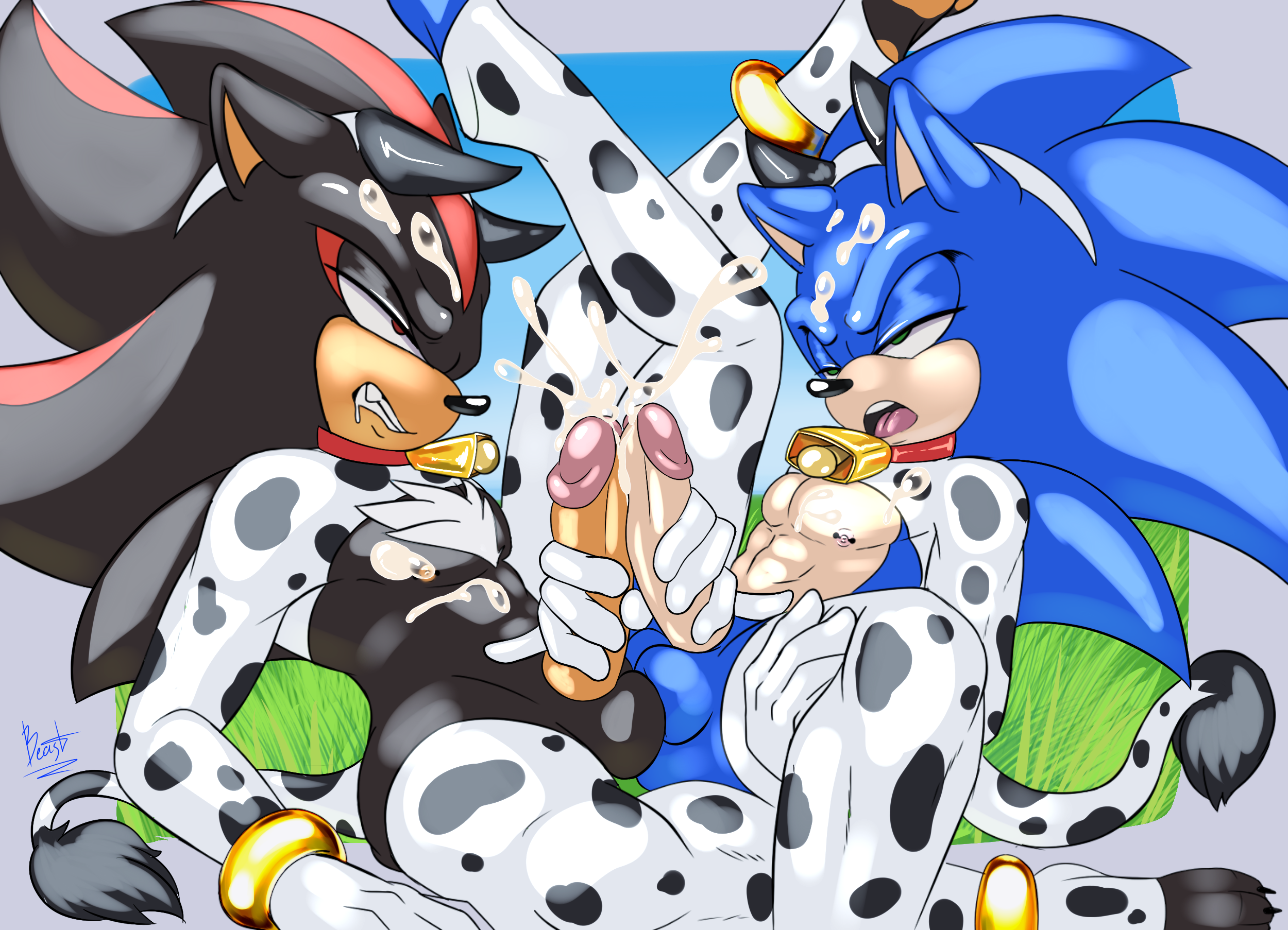 Shadow The Hedgehog (Sega) Rule 34 Image