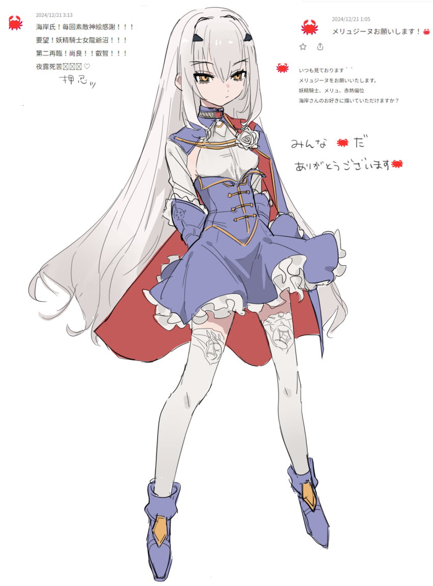 Melusine (Fate) Rule 34 Image