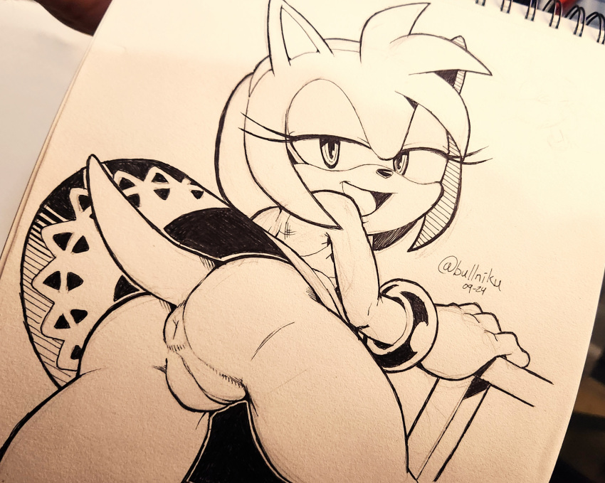 Amy Rose (Sonic (Series)) Rule 34 Image
