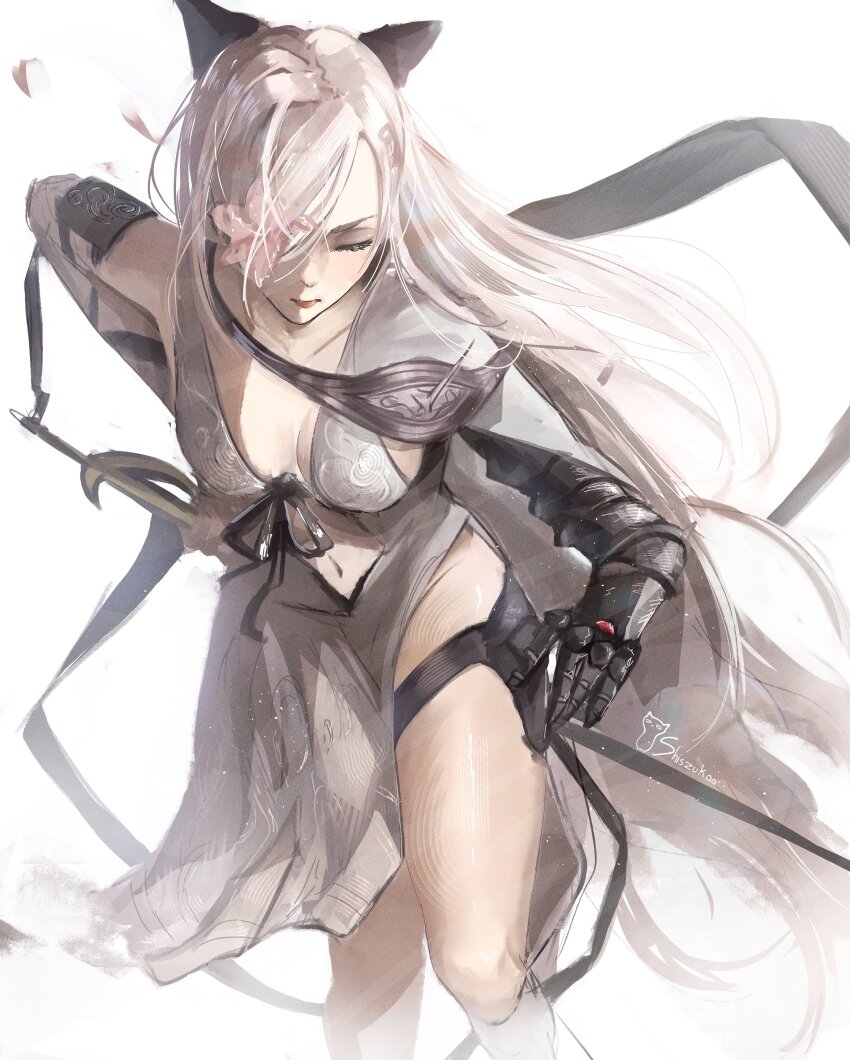 Zero (Drag-On Dragoon) Rule 34 Image