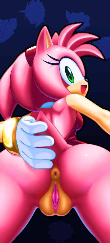 Amy Rose (Sonic (Series)) Rule 34 Image