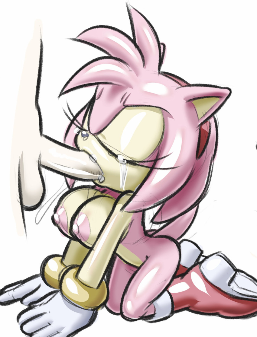 Amy Rose (Sonic (Series)) Rule 34 Image