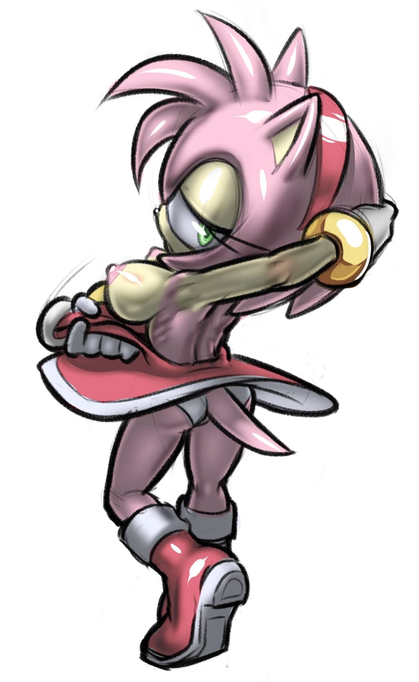 Amy Rose (Sonic (Series)) Rule 34 Image