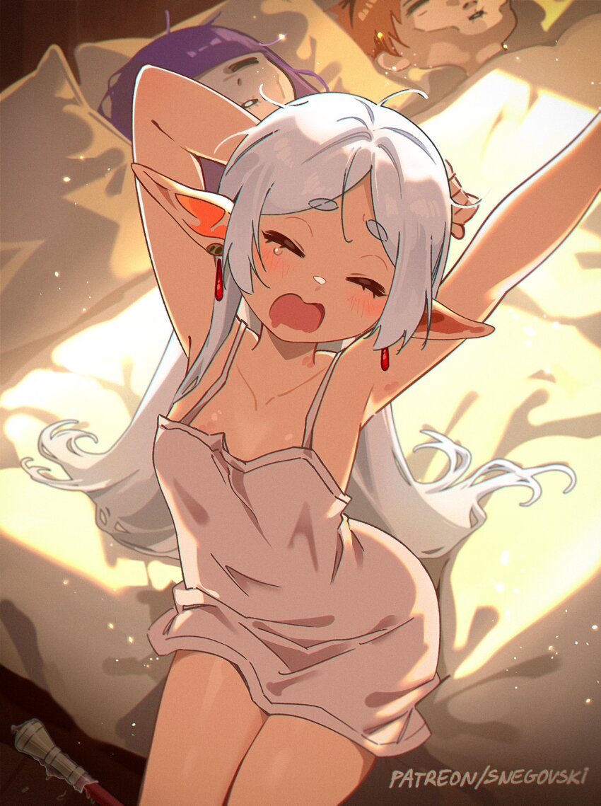 Fern (Sousou No Frieren) Rule 34 Image