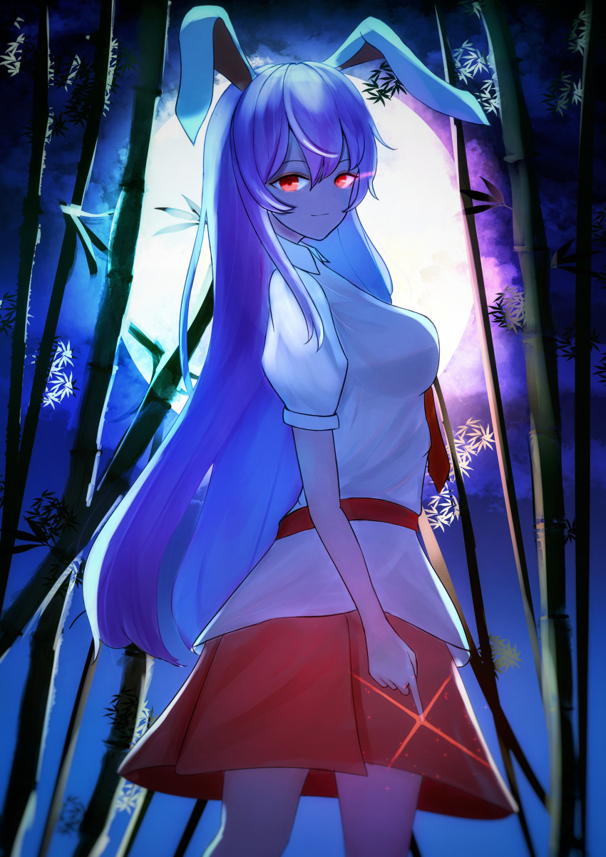 Reisen Udongein Inaba (Touhou) Rule 34 Image