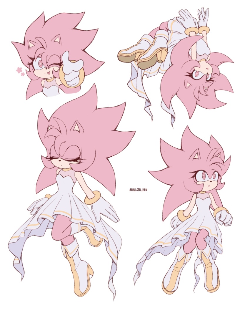 Amy Rose (Sonic (Series)) Rule 34 Image