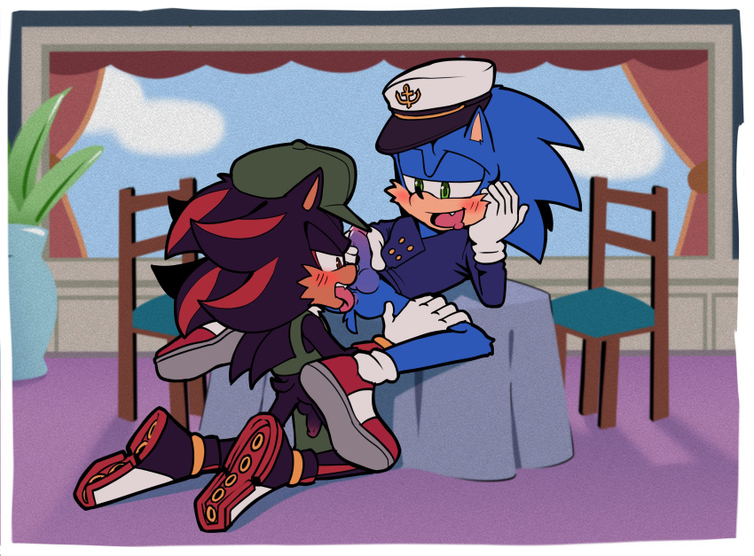 Shadow The Hedgehog (Sega) Rule 34 Image