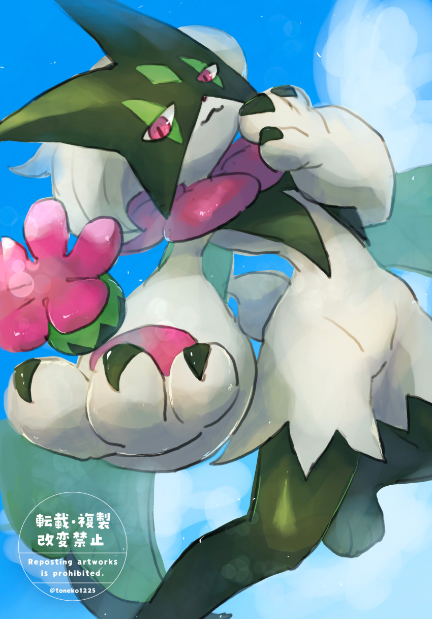 Meowscarada (Nintendo) Rule 34 Image