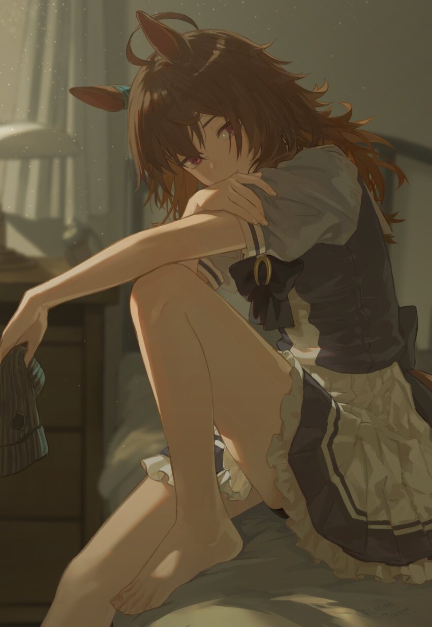 Nakayama Festa (Umamusume) Rule 34 Image