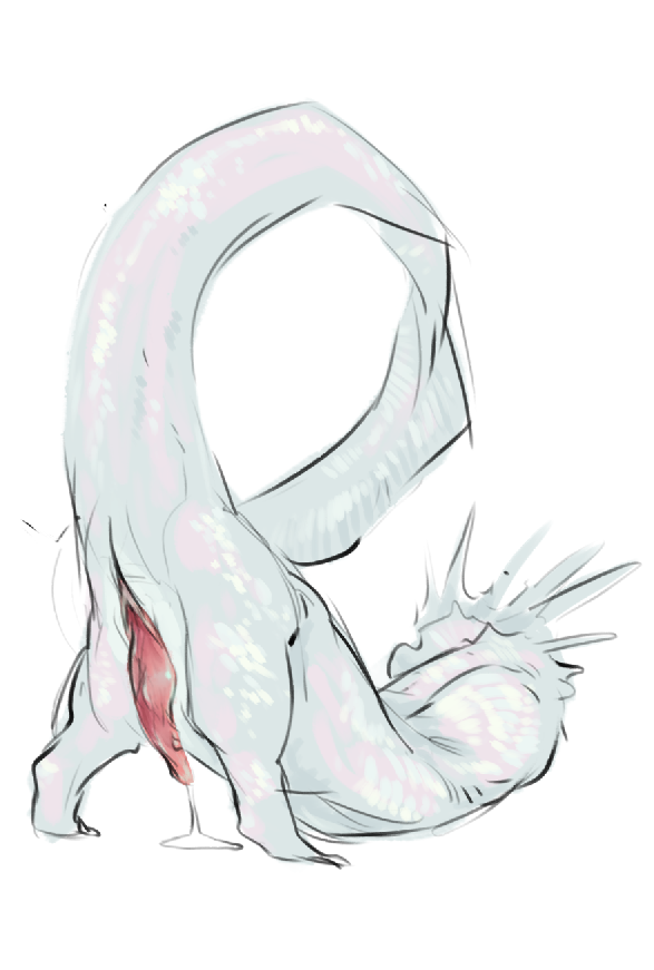 Animal Genitalia Rule 34 Image