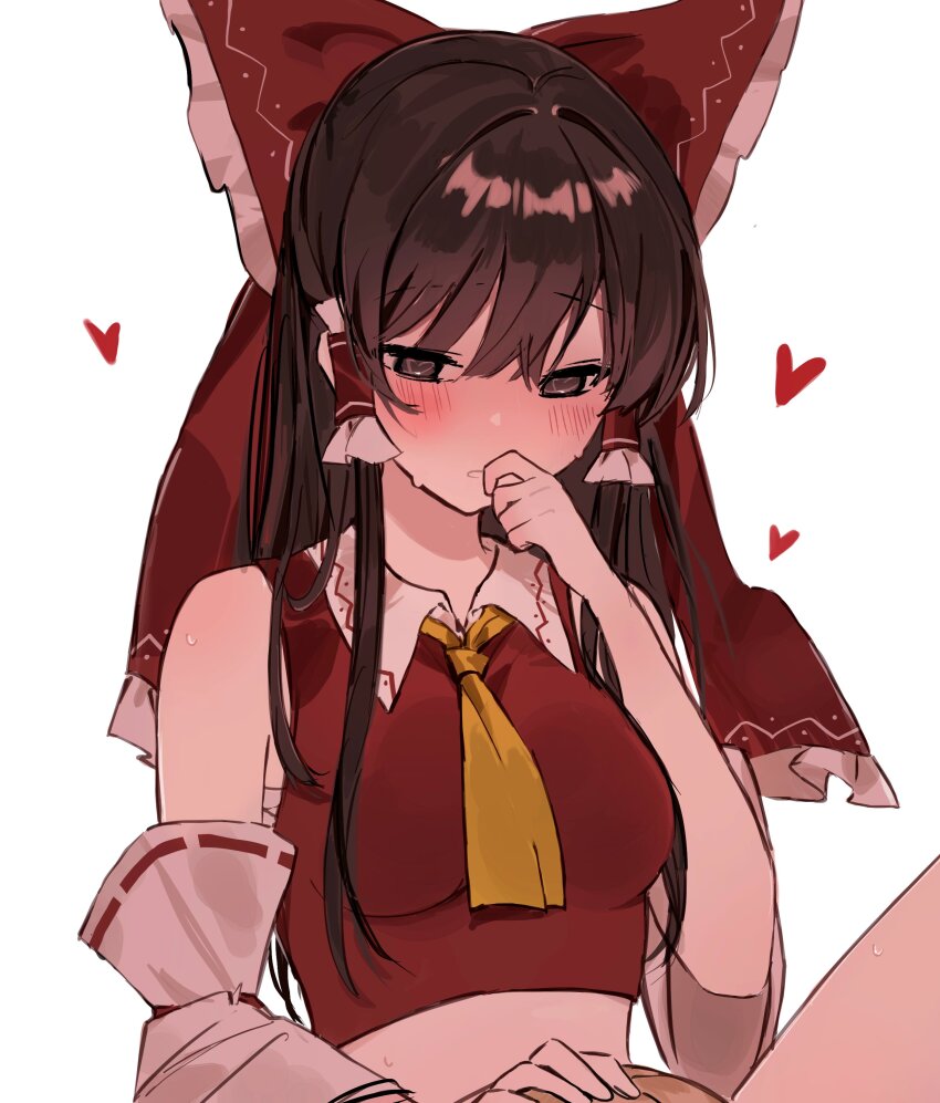 Hakurei Reimu (Touhou) Rule 34 Image