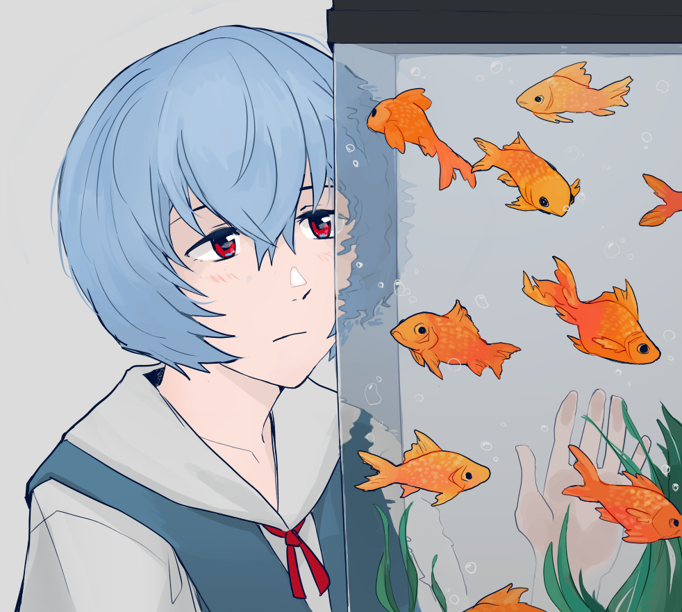 Ayanami Rei (Neon Genesis Evangelion) Rule 34 Image