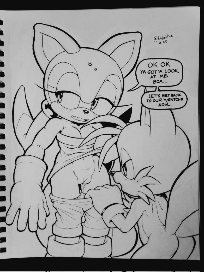 Marine The Raccoon (Sega) Rule 34 Image