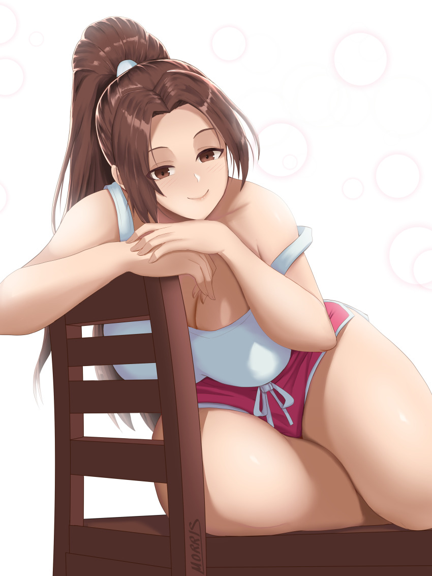 Fatal Fury Rule 34 Image