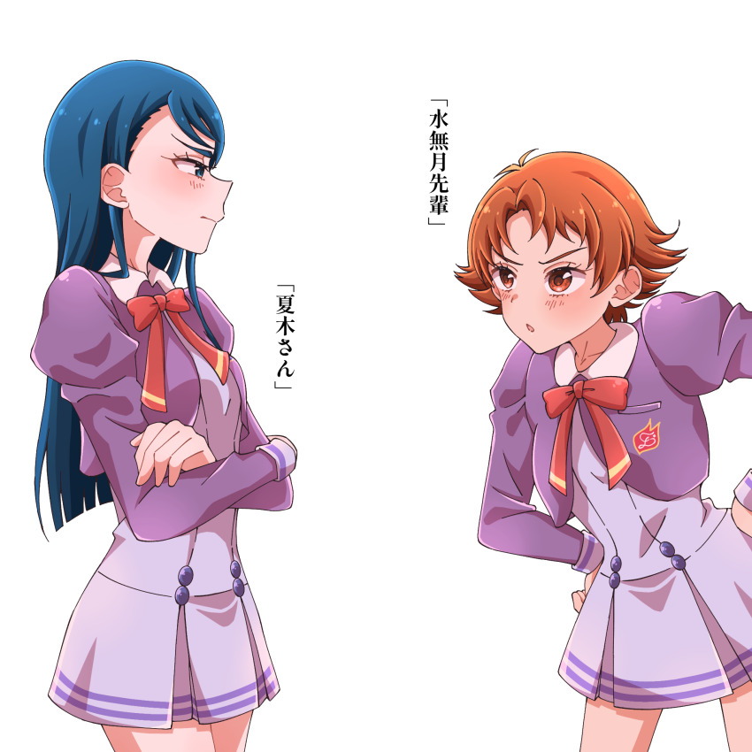 Minazuki Karen (Precure) Rule 34 Image