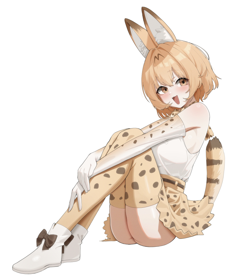 Serval (Kemono Friends) Rule 34 Image