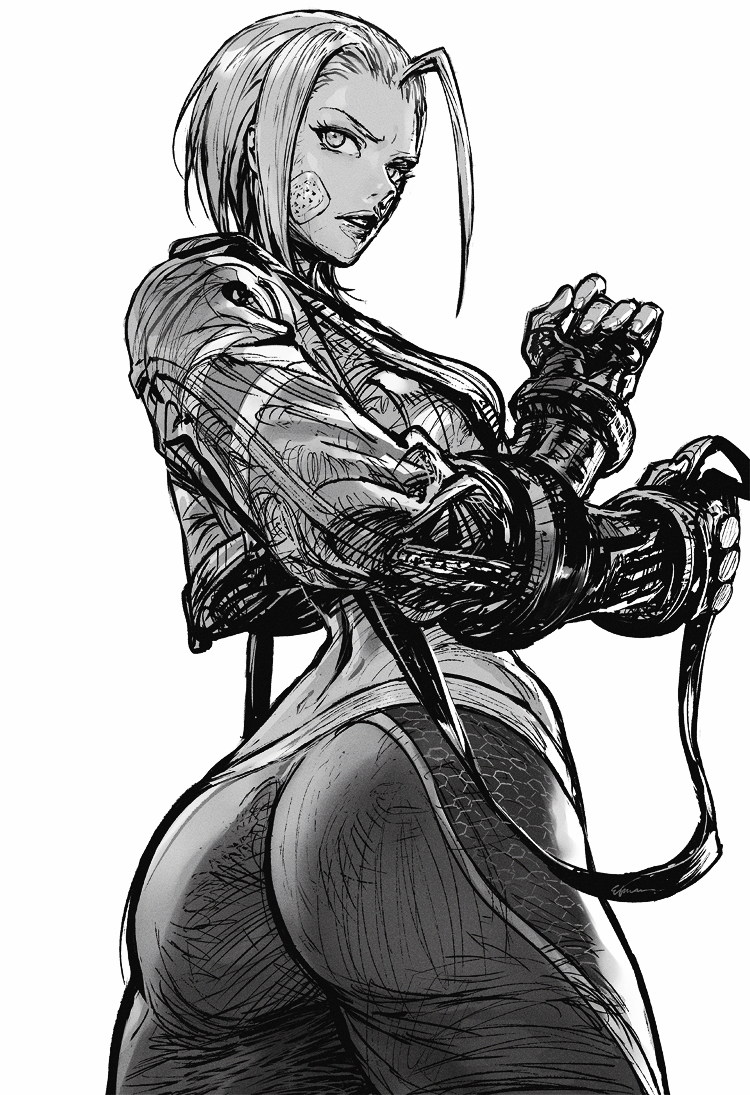 Cammy White (Street Fighter) Rule 34 Image