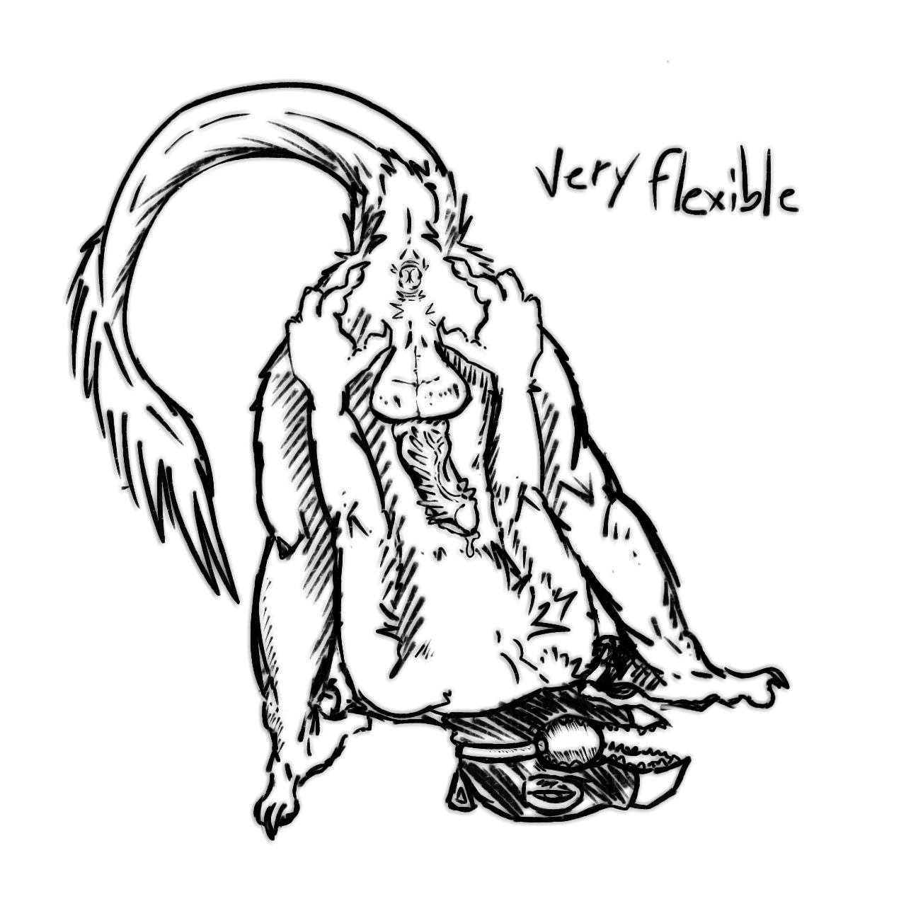 Anthro Rule 34 Image