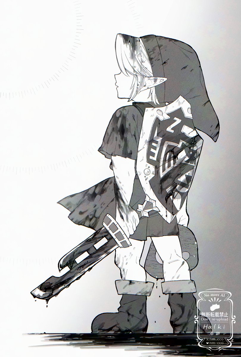 Link (Nintendo) Rule 34 Image