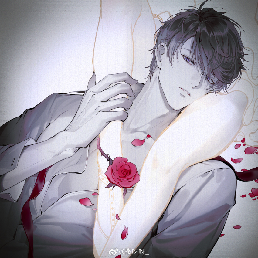 Love And Producer Rule 34 Image