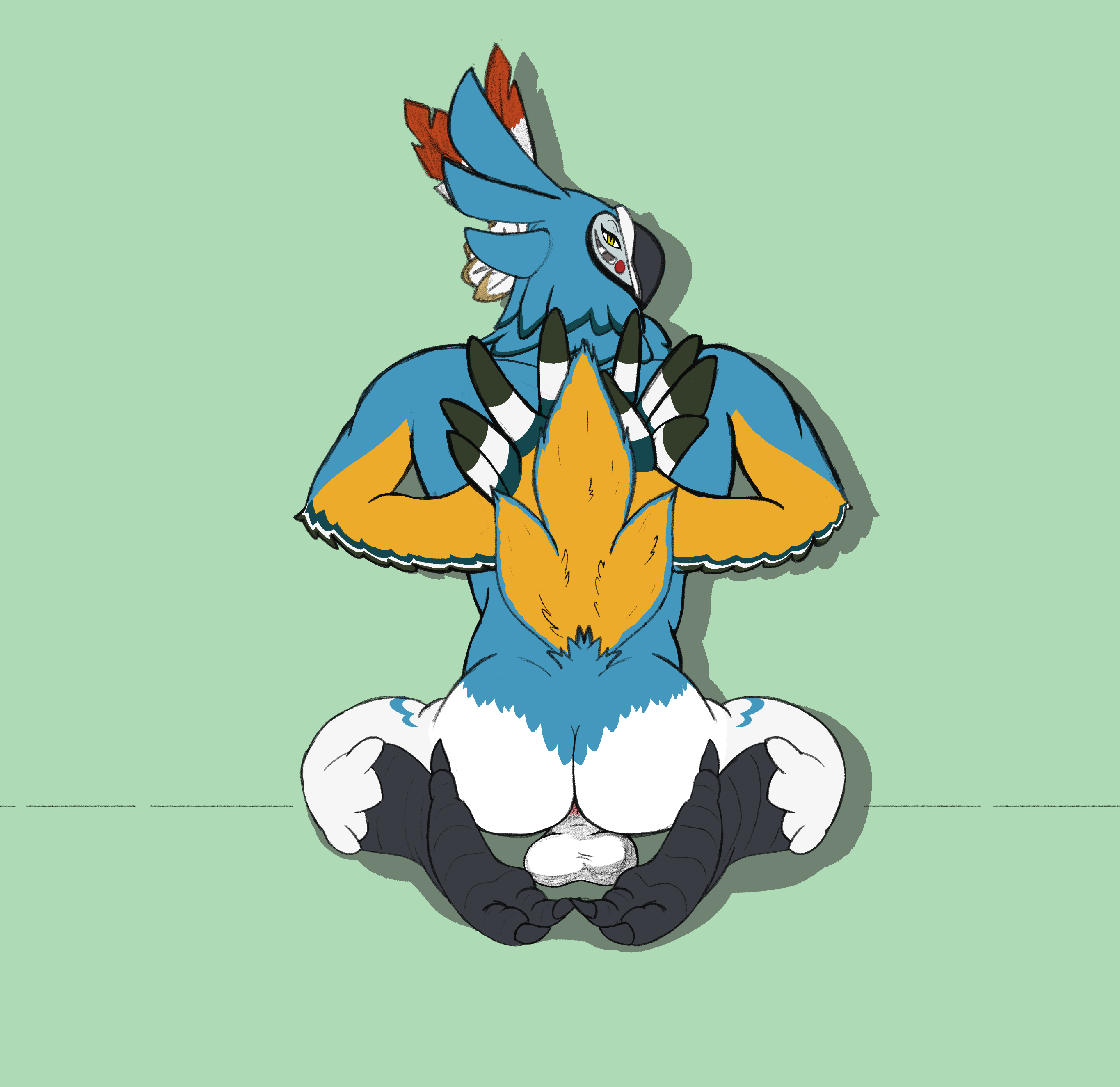 Kass (Zelda) Rule 34 Image