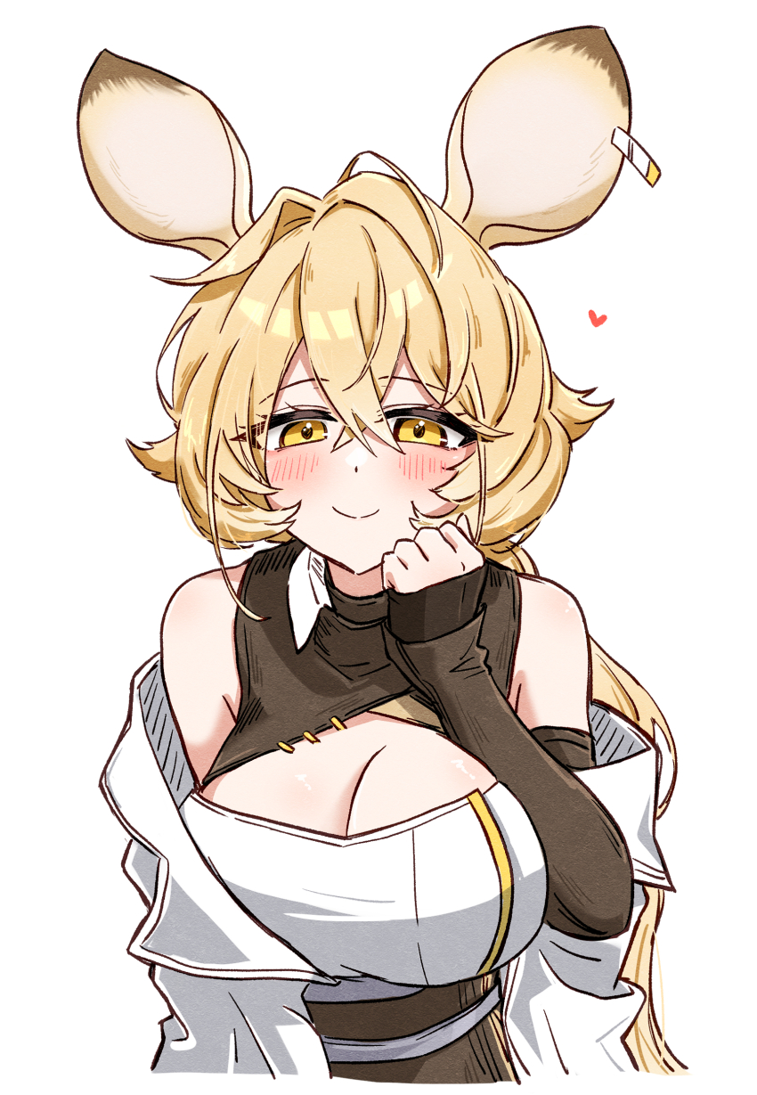 Dorothy (Arknights) Rule 34 Image