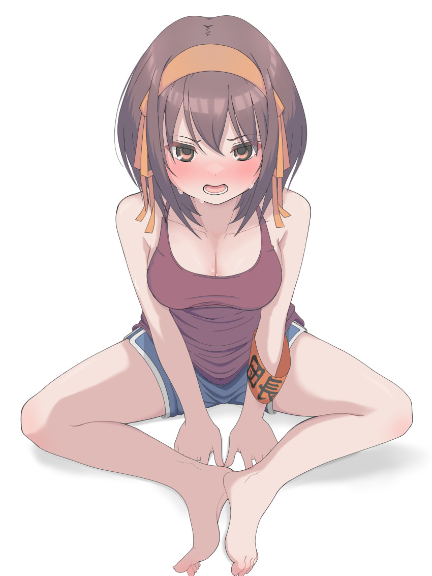 Suzumiya Haruhi (Suzumiya Haruhi No Yuuutsu) Rule 34 Image