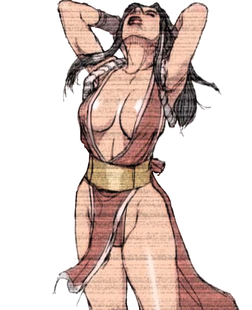 Fatal Fury Rule 34 Image
