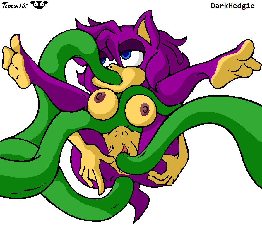Fan Character (Sega) Rule 34 Image