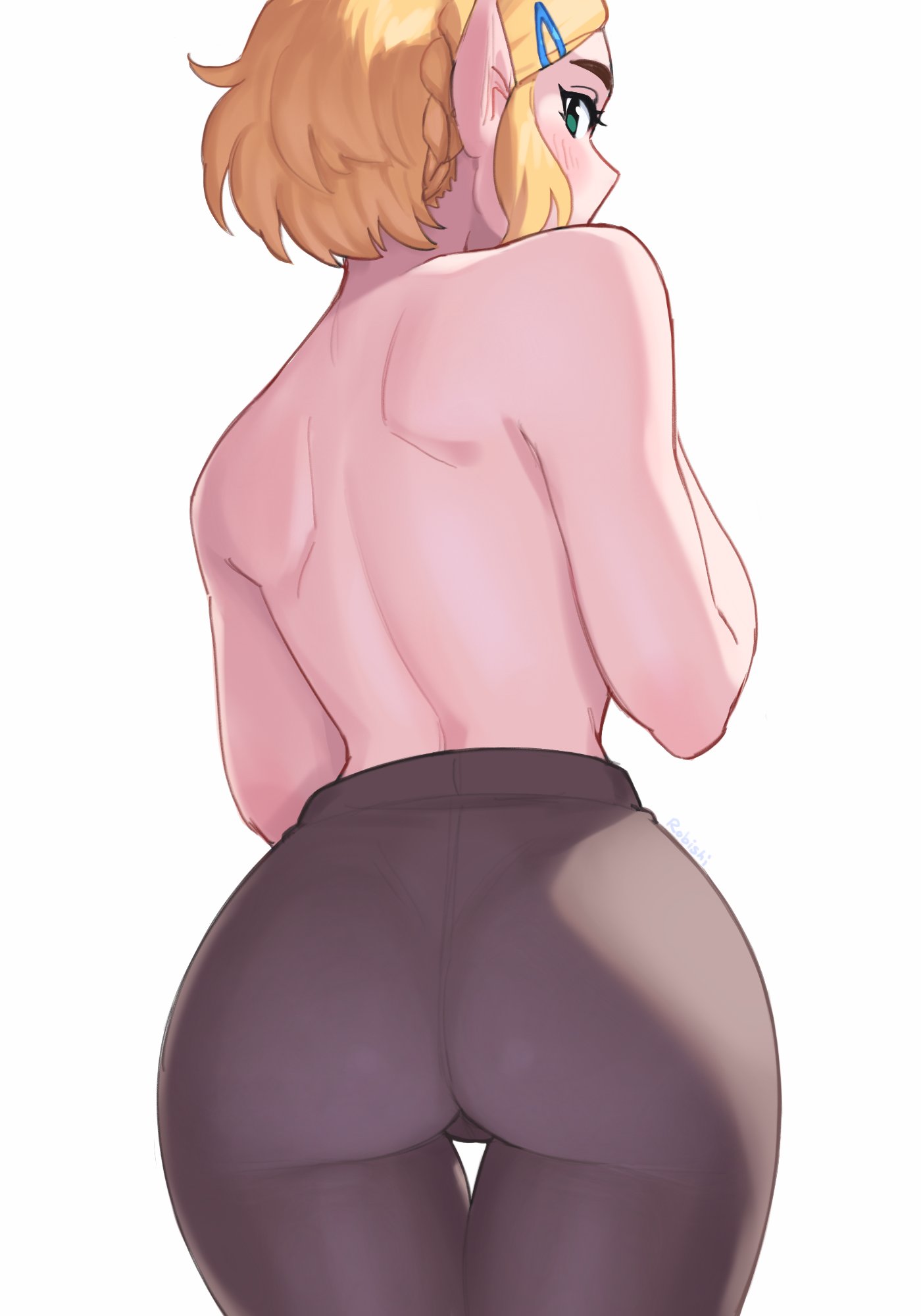 Princess Zelda (Nintendo) Rule 34 Image