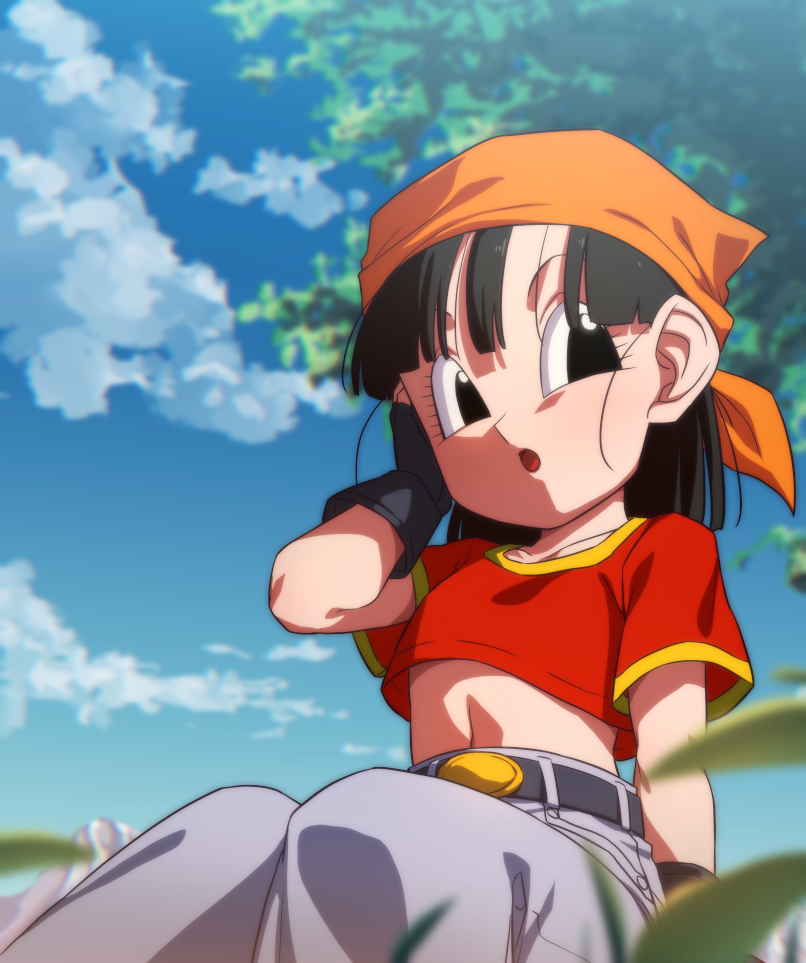 Pan (Dragon Ball) Rule 34 Image