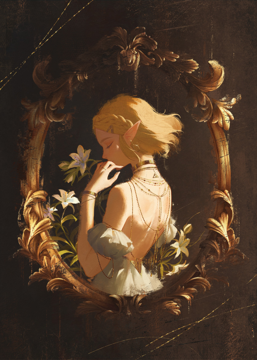 Princess Zelda (Nintendo) Rule 34 Image