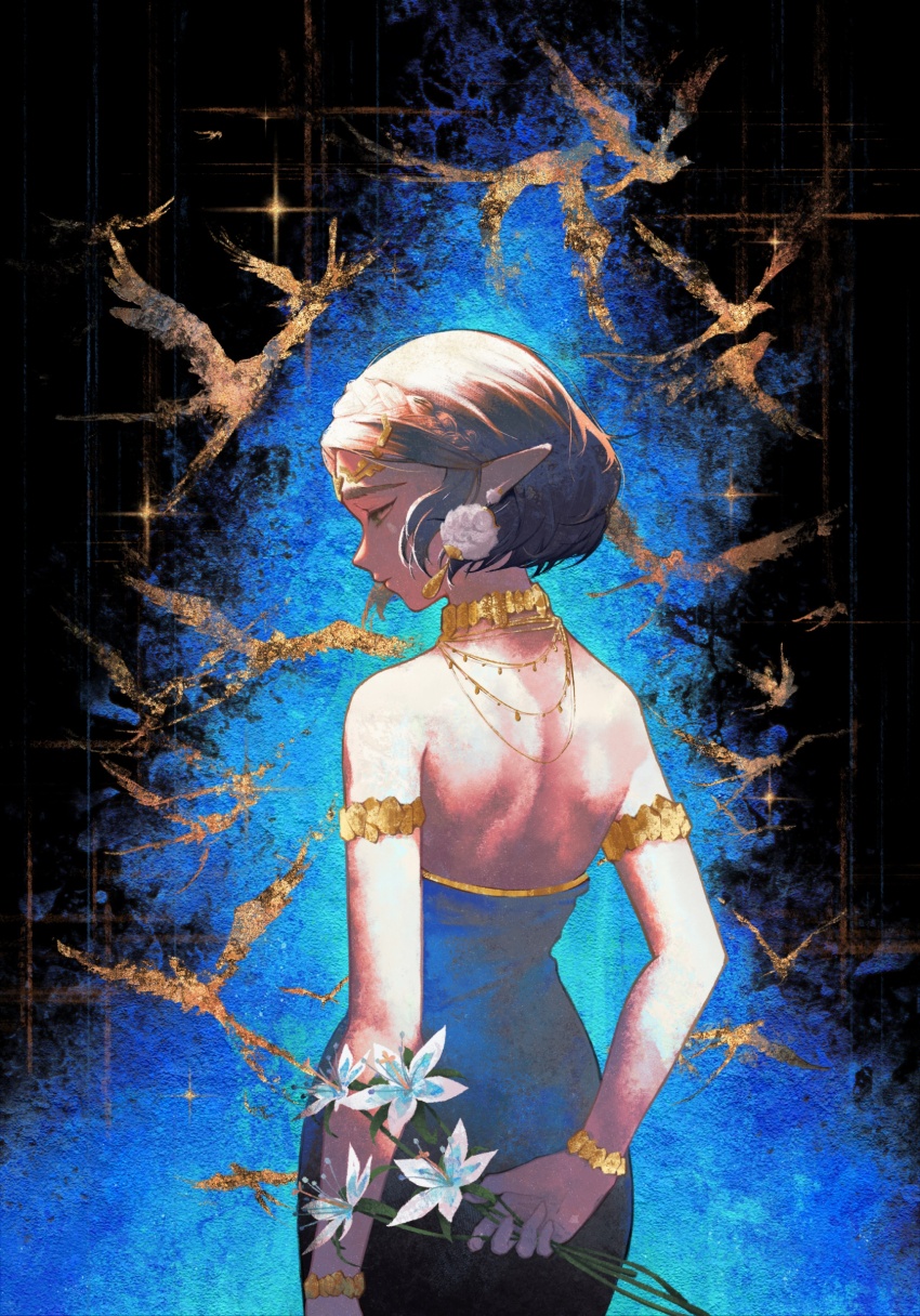 Princess Zelda (Nintendo) Rule 34 Image