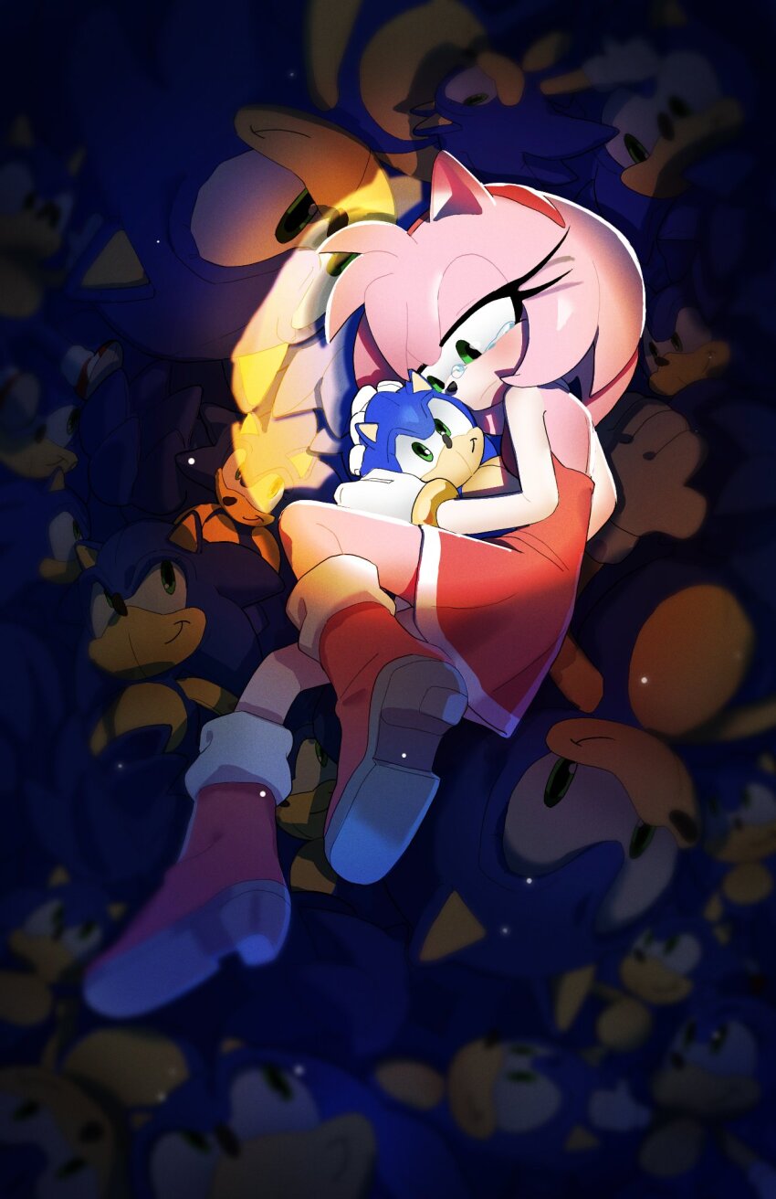 Amy Rose (Sonic (Series)) Rule 34 Image