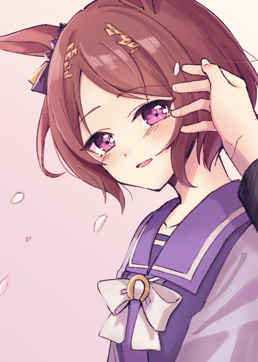 Sakura Laurel (Umamusume) Rule 34 Image