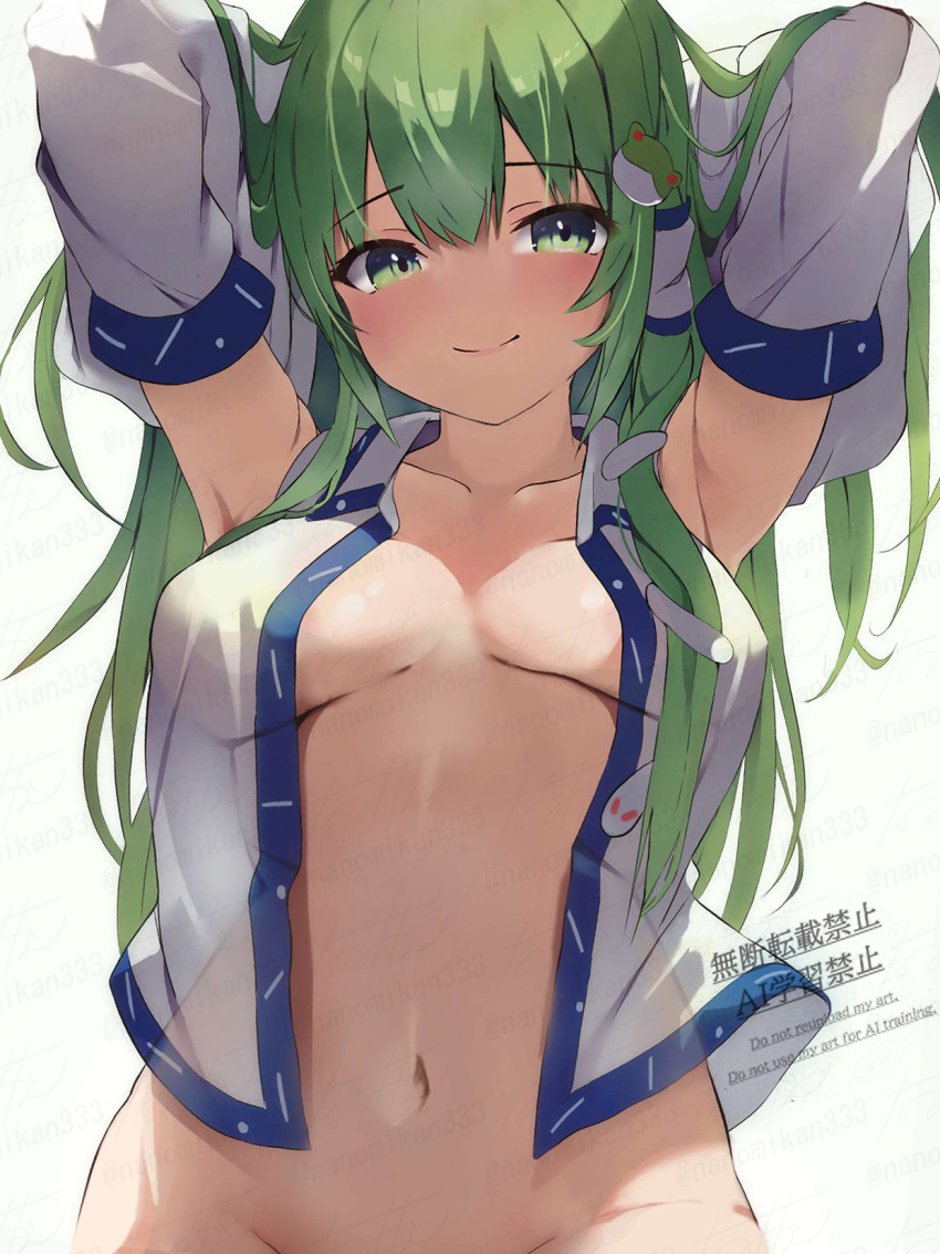 Kochiya Sanae (Touhou) Rule 34 Image