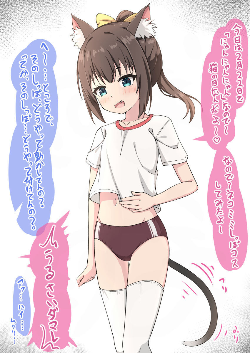 Cat Day Rule 34 Image