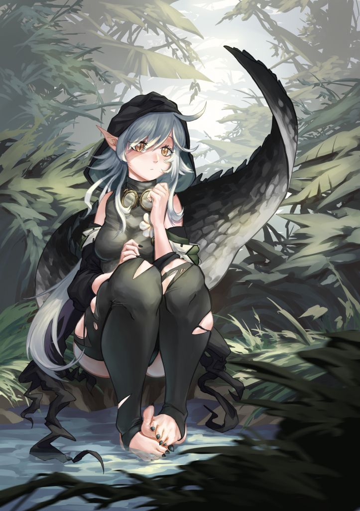 Tomimi (Arknights) Rule 34 Image