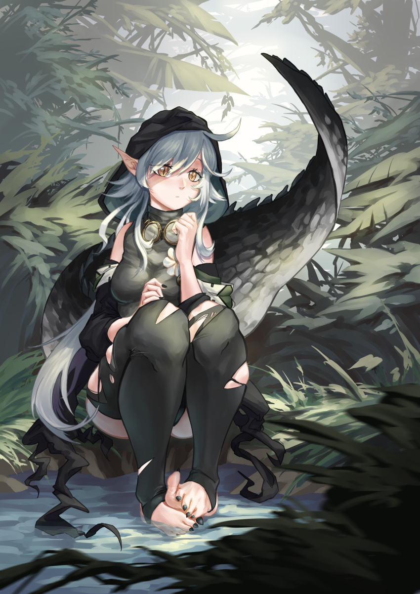 Tomimi (Arknights) Rule 34 Image