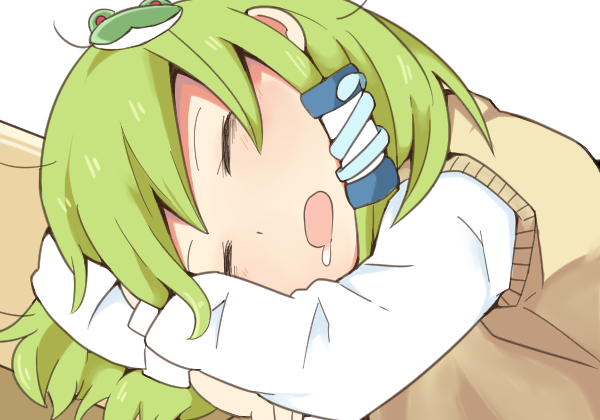 Kochiya Sanae (Touhou) Rule 34 Image