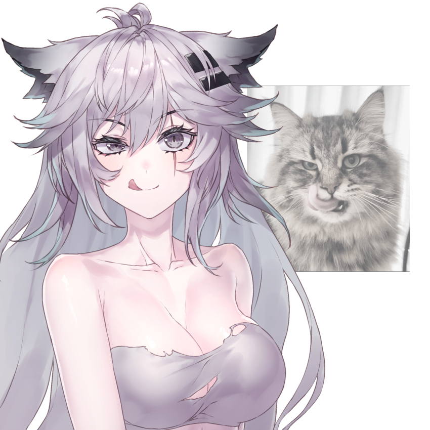 Lappland (Arknights) Rule 34 Image