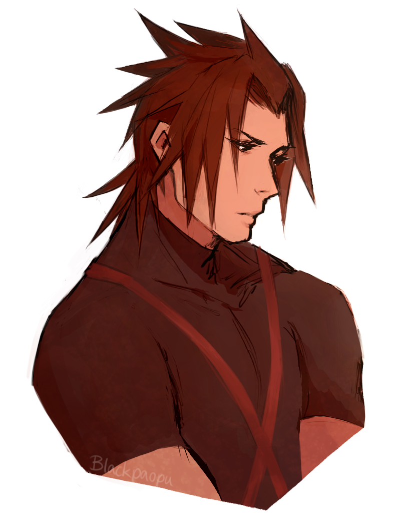Terra (Kingdom Hearts) Rule 34 Image