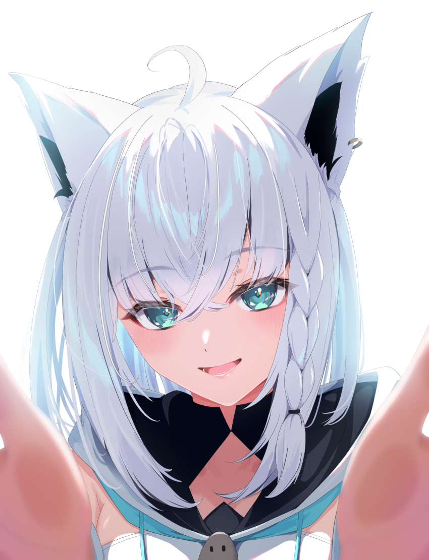 Shirakami Fubuki (Hololive) Rule 34 Image