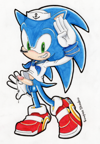 Sonic The Hedgehog (Sega) Rule 34 Image