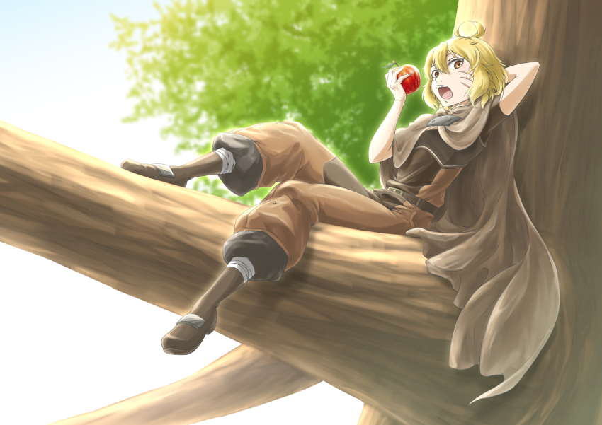 Argo (Sao) Rule 34 Image