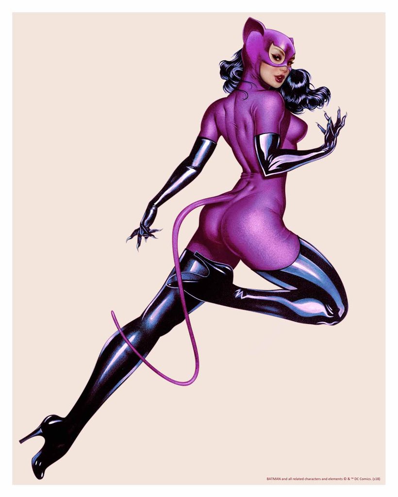 Catwoman (Dc Comics) Rule 34 Image
