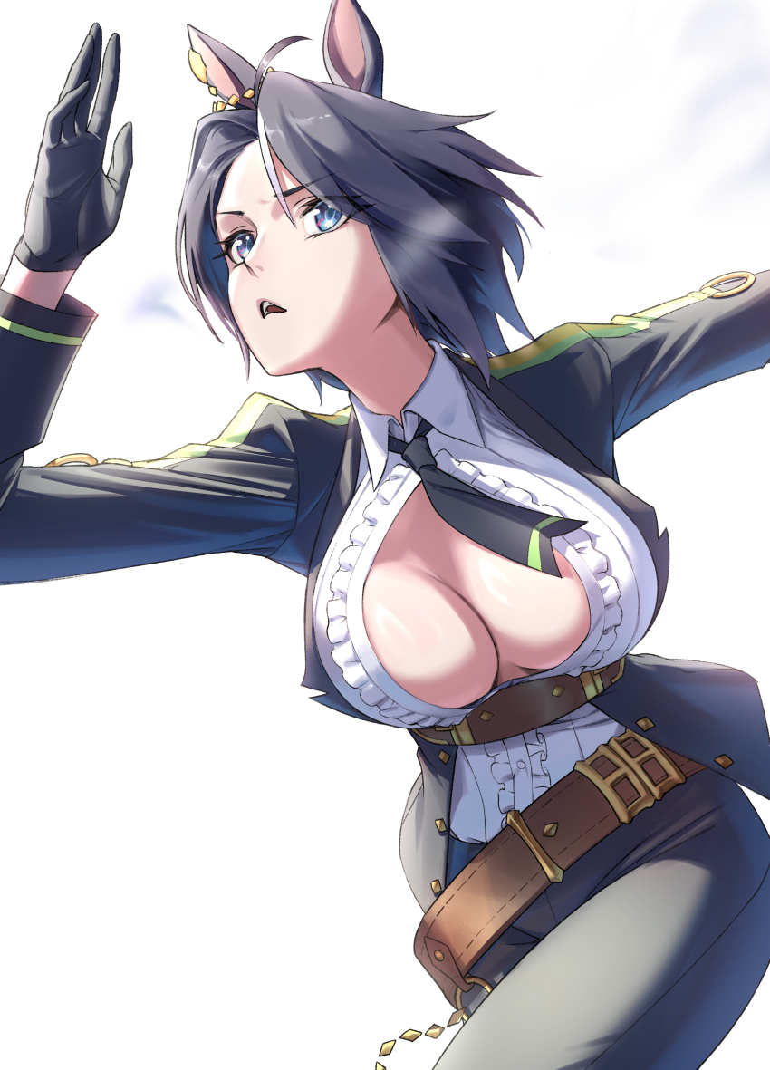 Fuji Kiseki (Shooting Star Revue) (Umamusume) Rule 34 Image