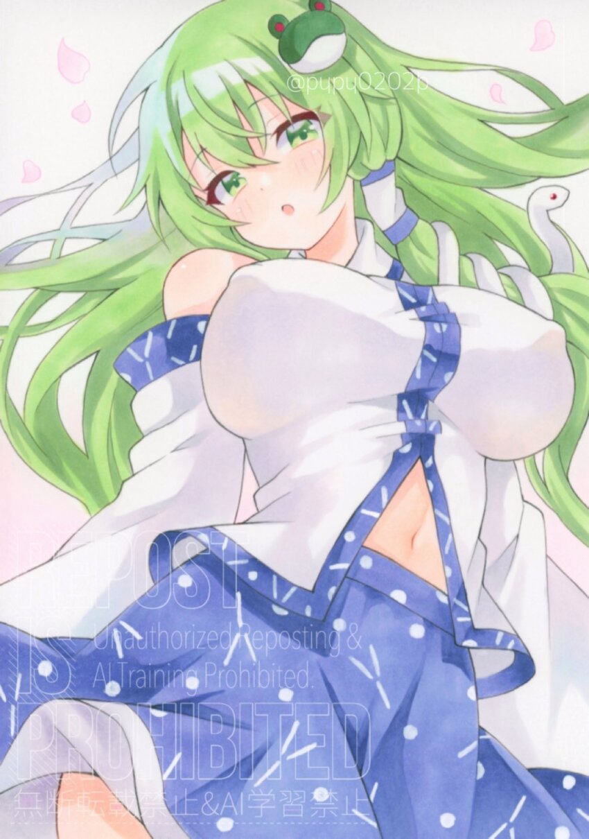 Kochiya Sanae (Touhou) Rule 34 Image