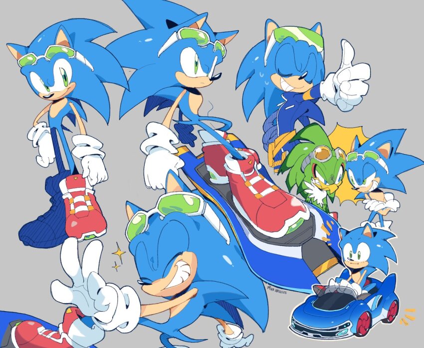 Jet The Hawk (Sonic (Series)) Rule 34 Image